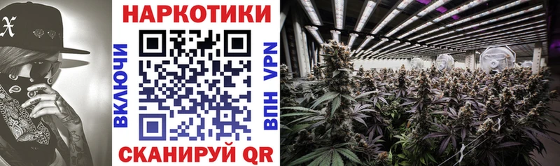Купить Череповец Конопля МЕТАДОН Alpha-PVP Меф мяу мяу ГАШИШ Галлюциногенные грибы КОКАИН АМФ