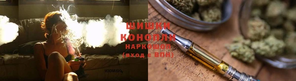 apvp Богданович