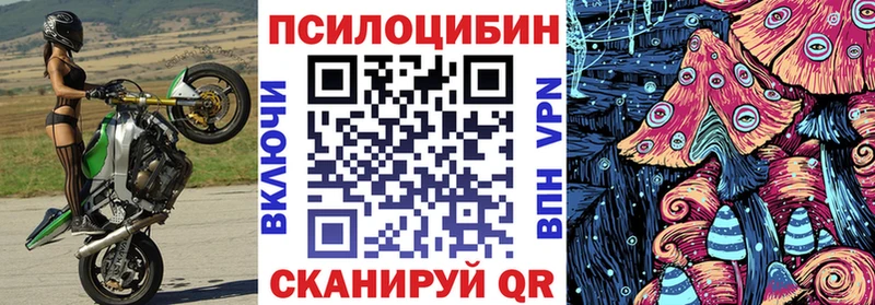 купить   Череповец  Псилоцибиновые грибы Cubensis 